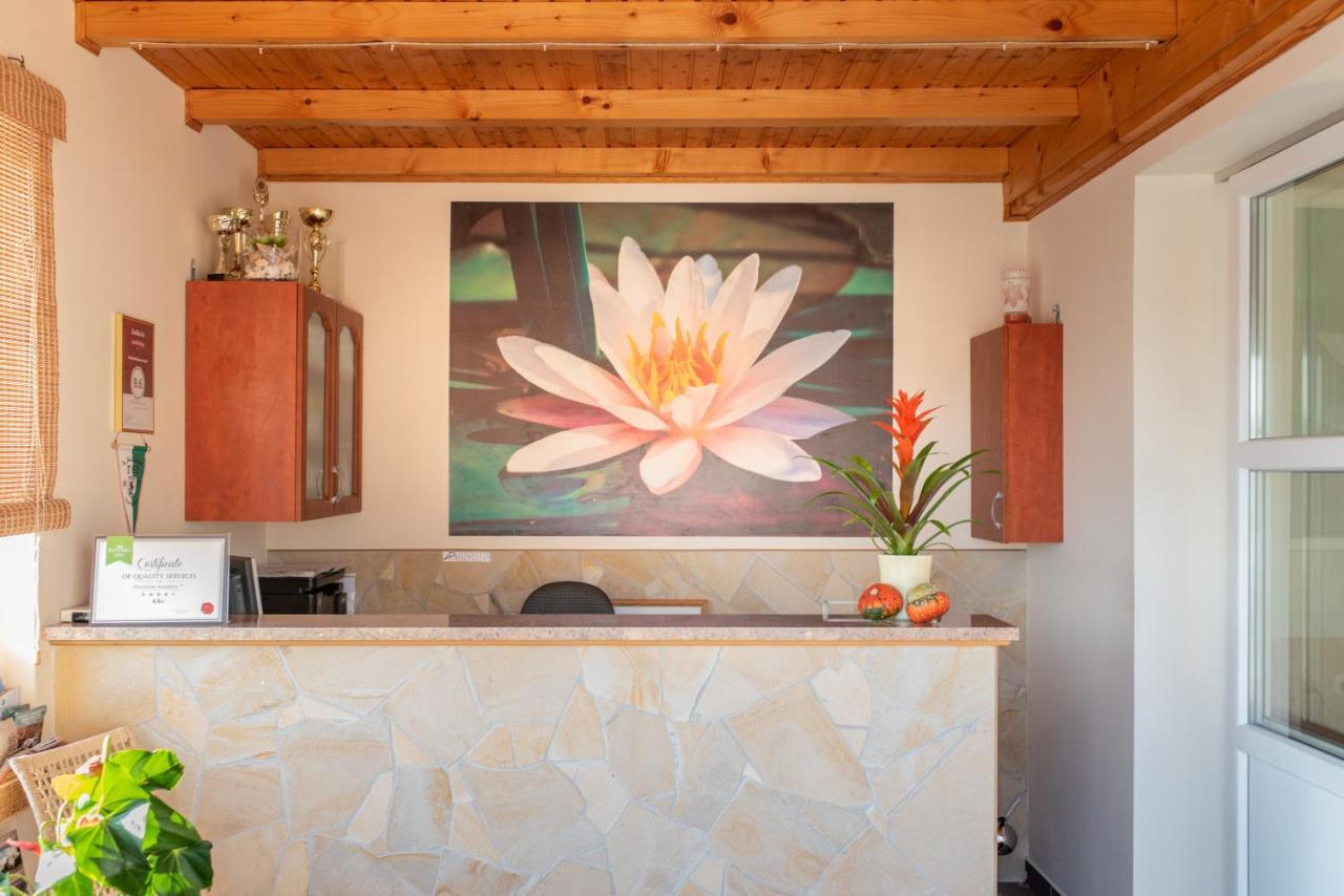 ホテル Andrea Wellness Garden チェーセクトマイ エクステリア 写真