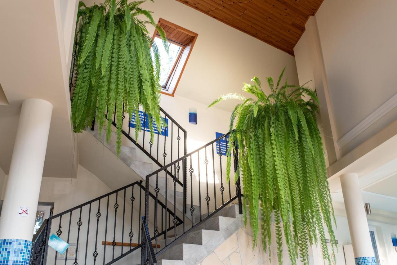 ホテル Andrea Wellness Garden チェーセクトマイ エクステリア 写真