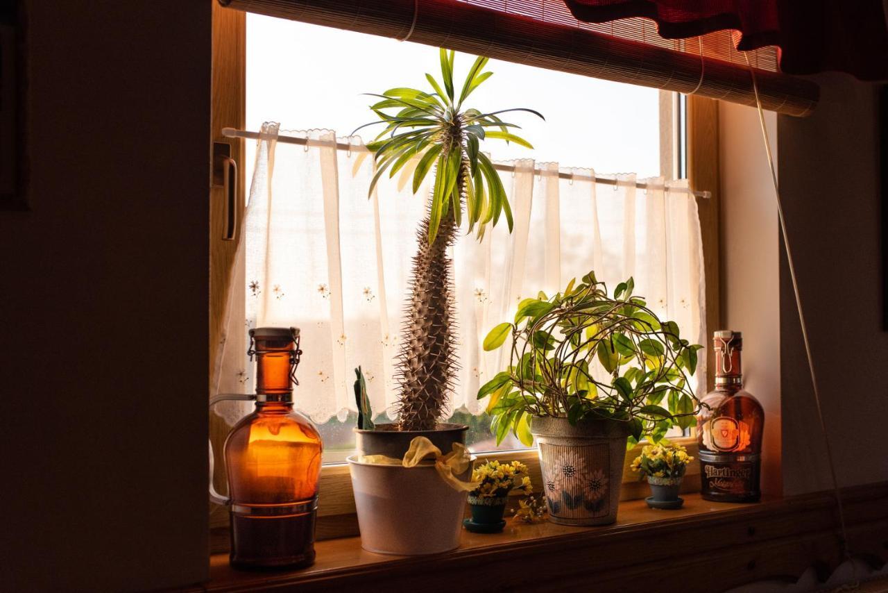 ホテル Andrea Wellness Garden チェーセクトマイ エクステリア 写真